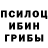 Псилоцибиновые грибы Psilocybe Heci Heciyev