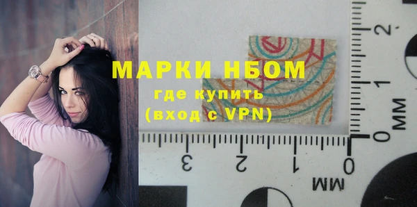 бошки Алексин