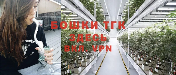бошки Алексин