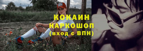 бошки Алексин