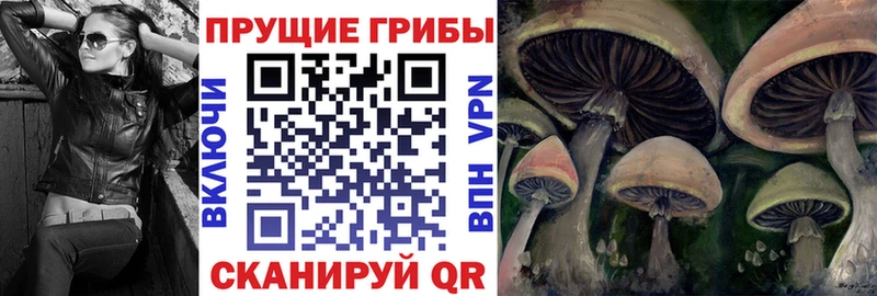 закладка  нарко площадка официальный сайт  Галлюциногенные грибы Cubensis  Новоаннинский 